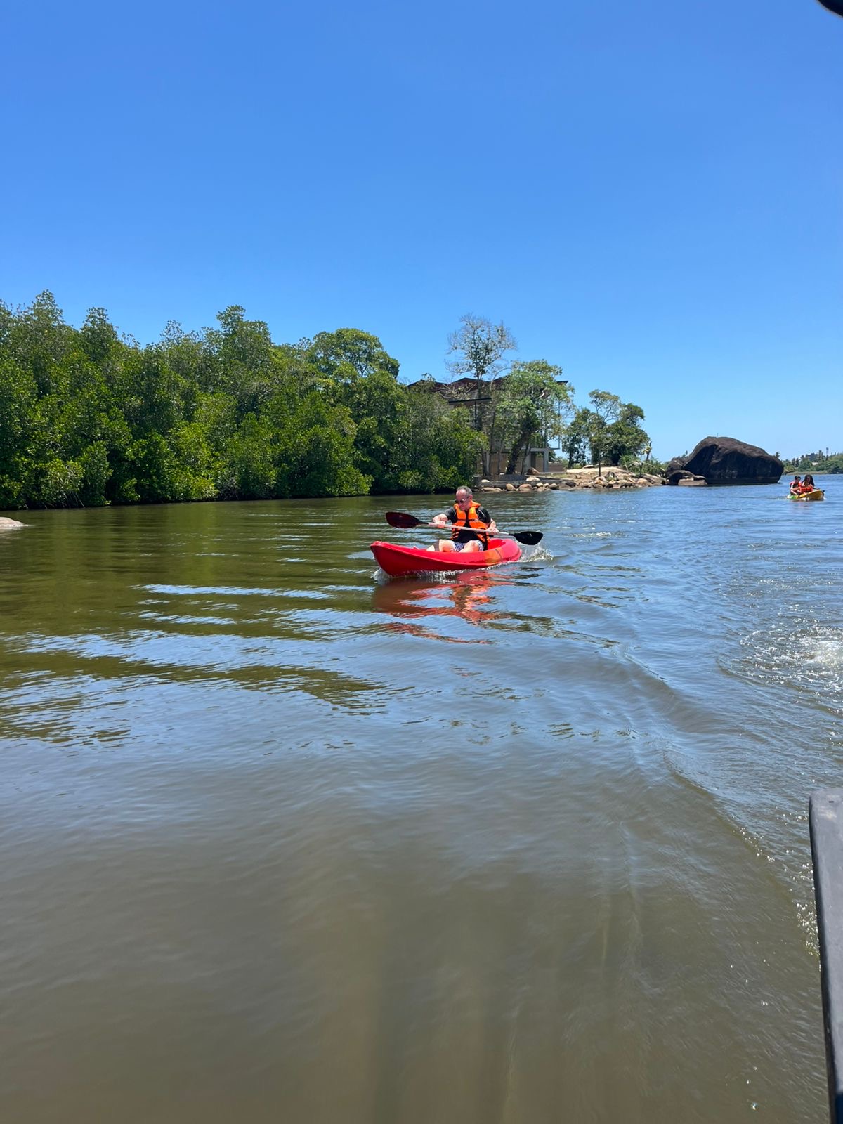 A solo paddler in a red kayak on sunlit water with mangroves behind
